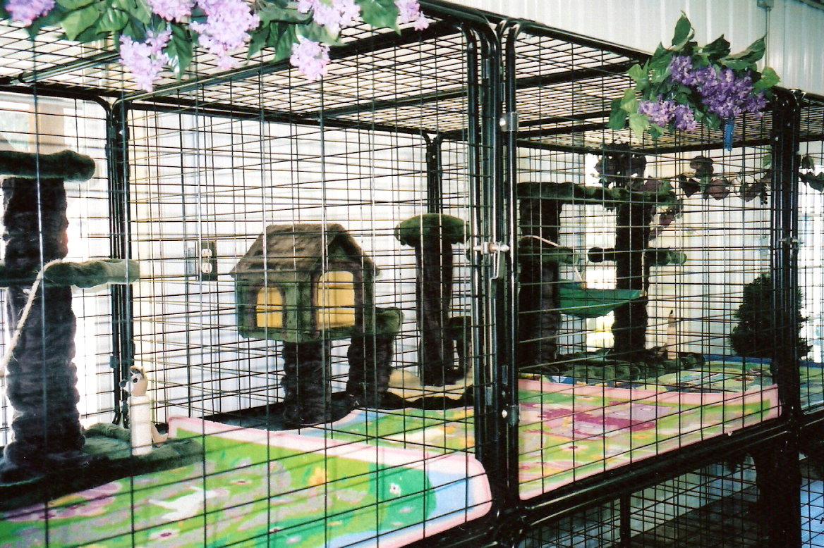 scan0006.jpg